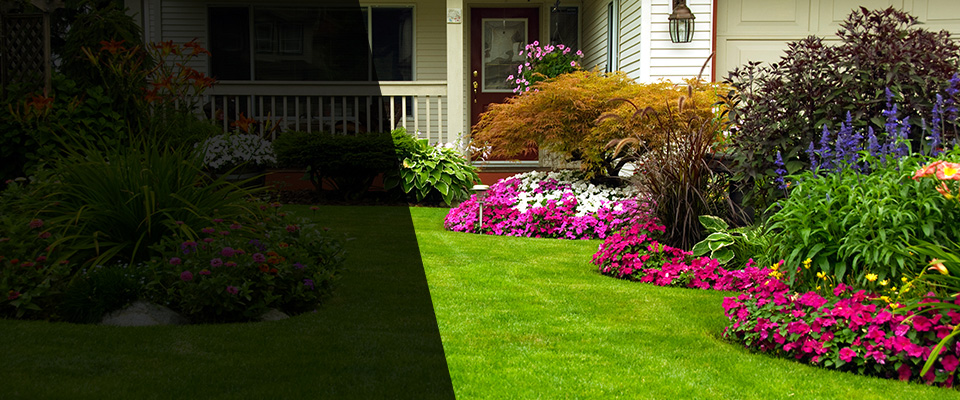 Stony Brook Landscapers