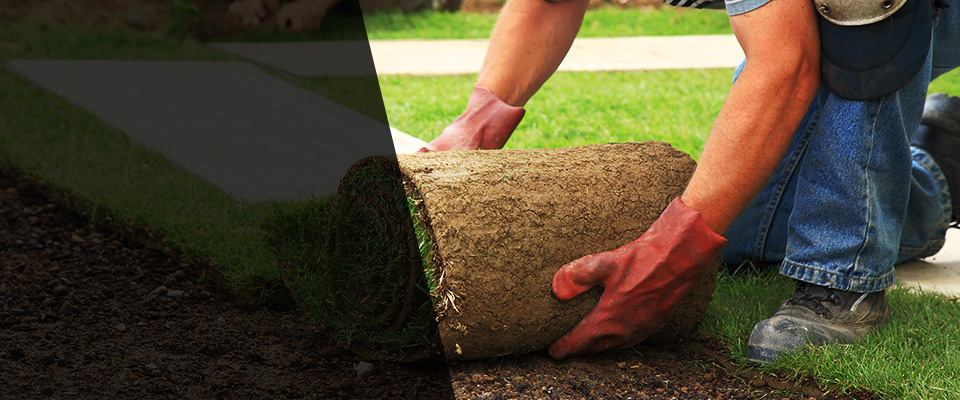 Stony Brook Landscapers